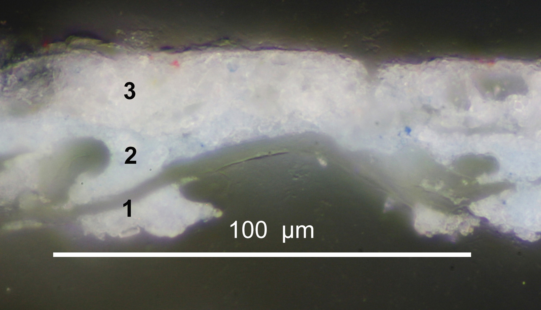 A magnified paint sample viewed in cross-section showing blue then pale pink paint layers above the fibres of a paper support