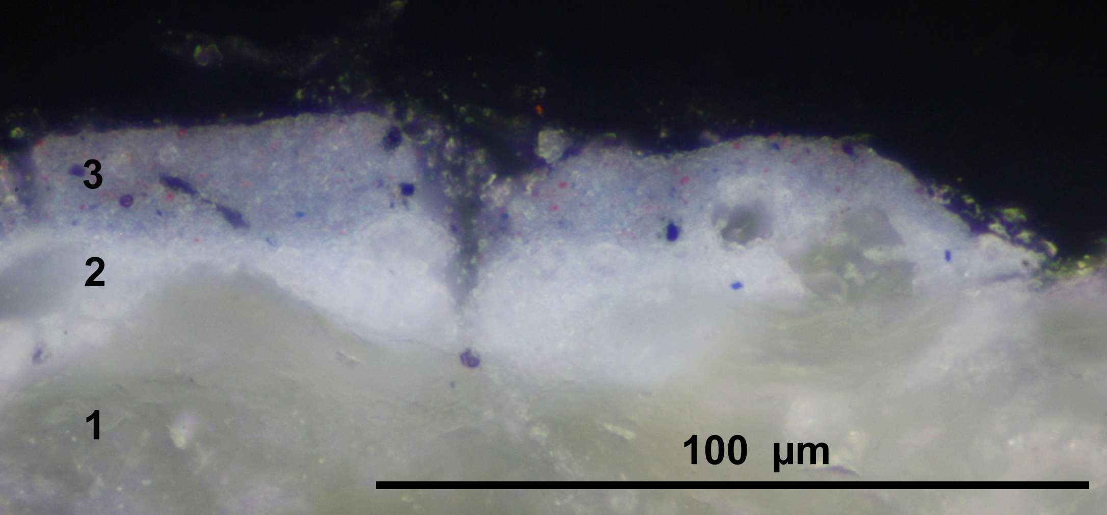 A magnified paint sample viewed in cross-section showing blue then purple paint layers above the fibres of a paper support