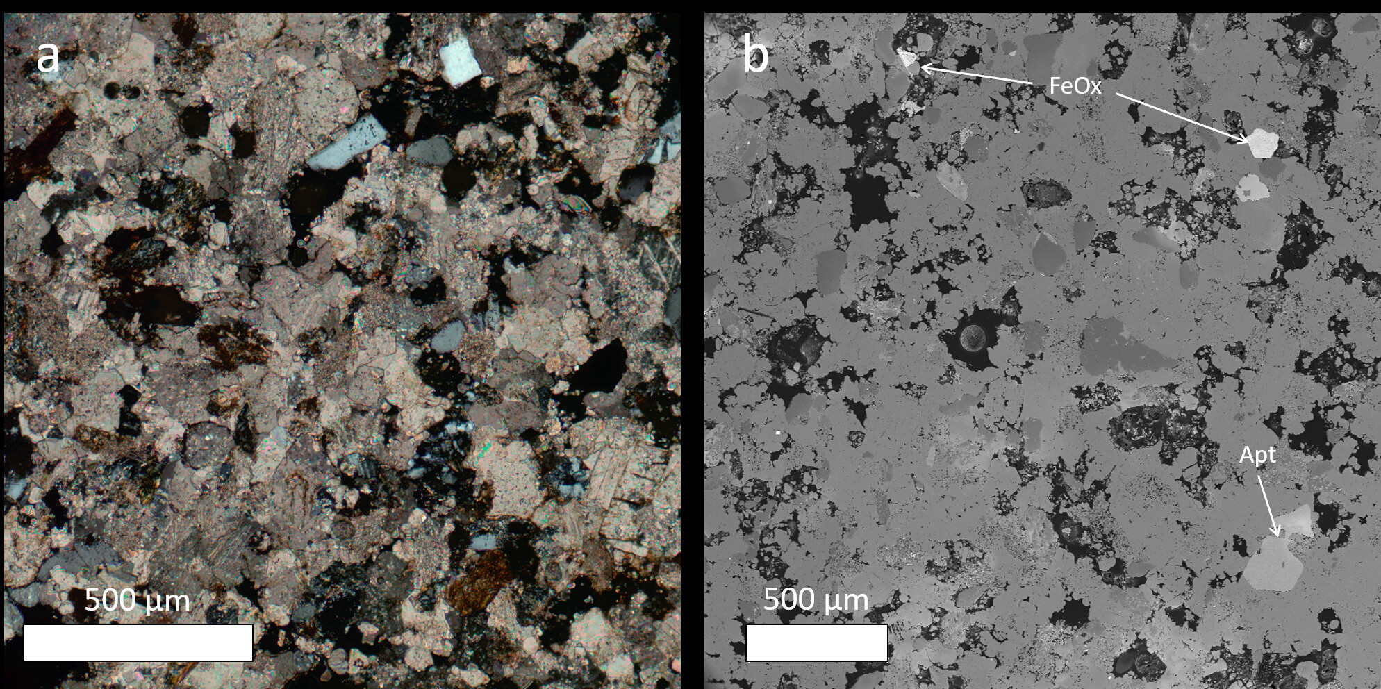 Two thin-sections of stone samples taken from tomb effigy of Ermengol VII showing abundant carbonate fraction and few scattered silicates grains in dark grey. Bright iron oxides (FeOx) and a large apatite grain (Apt) are also visible.