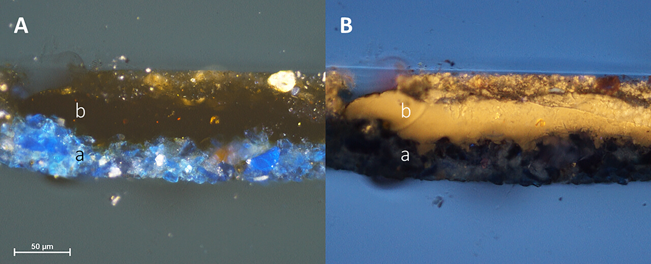 one cross section shown in visible and UV illumination showing the blue particles under a dark brown unpigmented layer.